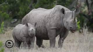 Teeku Patel Introduction - 2019 WCFF