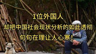 1位外国人，却把中国社会现状分析的如此透彻，句句在理让人心寒