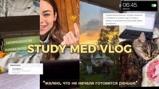 study med vlog: моя реалистичная сессия part 2