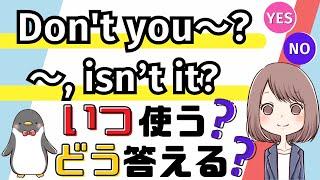 【間違えやすい】英語の否定疑問文と付加疑問文の使い方・答え方をわかりやすく解説！[067]