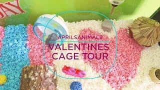 Valentines Cage Tour - AprilsAnimals