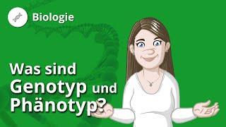 Genotyp und Phänotyp: Definition, Beispiele und Allele – Biologie | Duden Learnattack