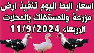 اسعار البط اليوم في مصر تنفيذ ارض مزرعة وللمستهلك بالمحلات الاربعاء 11/9/2024