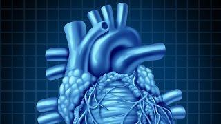 Human Physiology - Central Venous Pressure, Part 1