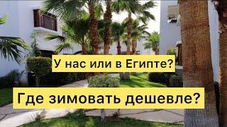 Где зимовать дешевле? У нас или в Египте?