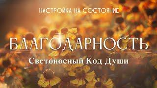 Благодарность. Настройка на состояние #благодарность #Весталия #СКД #школаcорадение