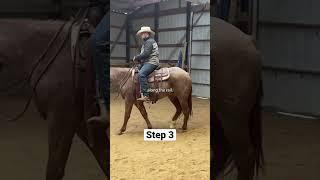 Introducing the side-pass under-saddle.