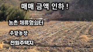 303번) 급매물 농촌 체류형쉼터 농막설치 주말농장 전원주택지 의령토지 의령땅매매 땅선생 시골땅