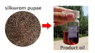 silk silkwrom pupae, black soldier fly, dry insect oil press machine