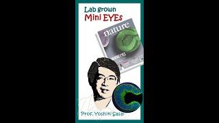 Lab grown mini eyes | Optic cup organoids | Nature | Animated biology with Arpan | Bio facts #shorts