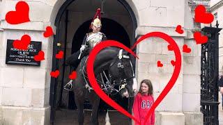 Sweet Encounter: King's Guard Horse Shows Love and Affection to Little Girl