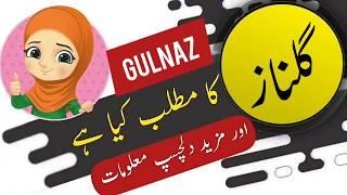 Gulnaz name meaning in urdu and lucky number | Islamic Boy Girl Name | Ali Bhai