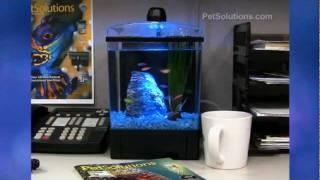 PetSolutions: GloFish 1.5 Gallon Aquarium