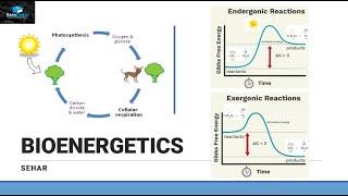 Introduction of Bioenergetics Part 1