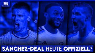 Platzt der Sánchez-Deal noch? Neue Chance für Mohr & Polter? Neuer Kader mit 7 Talenten! | S04 NEWS