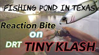 Fishing with DRT - TINY KLASH | Swimbait Fishing | Sending from Texas