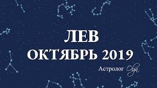 МЕСЯЦ НАЧИНАНИЙ ЛЕВ гороскоп ОКТЯБРЬ 2019. Астролог Olga