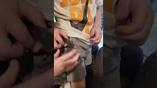 Little Boy Brings Home Baby Possum in His Pocket - 1437591