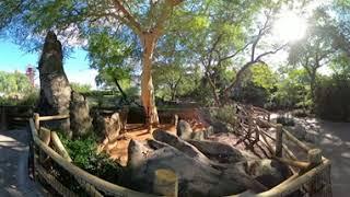 Busch Gardens Tampa - Full 360/VR Walkthrough