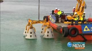 Subcon Installs Reef Modules for the Coogee Dive Trail