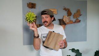 Making a Map Piece From Spiky Gumball Wood | Georgia's Sweetgum | Justinthetrees US Tree Map