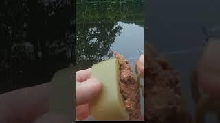 РЫБАЛКА НА ЛЕЩА, МЕТОД ФИЕДЕР, БОЙЛ  BOIL, METHOD FEEDER
