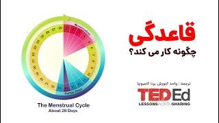 همه چیز در مورد دوران قاعدگی