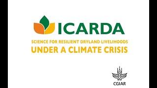 ICARDA-What We Do