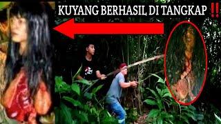  VIRAL 2024  DETIK-DETIK KUYANG KRASUE TERTANGKAP WARGA