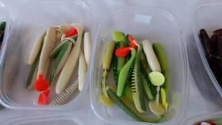 Фараби Кушанов. Жыртқыш балық аулау құралдары.