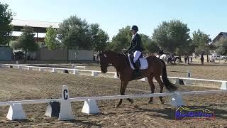 093D Lauren Field on Abright Star Open Modified Dressage Twin Rivers Ranch June 2024