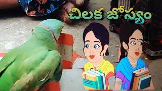 చిలక జ్యోతిష్యం.... నీతి kathalu moral stories # storytelling # ongole padmavathi telugu stories