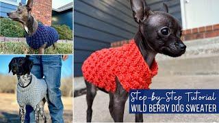 Wild Berry Dog Sweater Video Tutorial (sizes XXXS - LARGE)