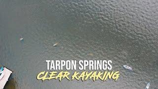 Clear Kayak Tours in Tarpon Springs - Get Up And Go Kayaking Tampa Bay