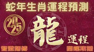 2025年 乙巳年 生肖運勢 蛇年十二生肖運程 —【肖龍】 | 概括運程+四季不同時段出生 屬龍運程 | 開運攻略 | 生肖運程 分析 | 愛情、事業、正財、橫財、健康預測 | 生肖運程 2025增運