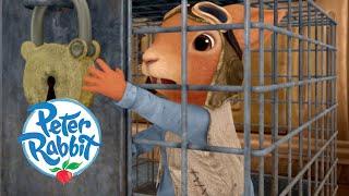 @OfficialPeterRabbit - Nutkins Gets Caught!  | Squirrel Nutkins Adventures | Cartoons for Kids