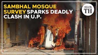 Sambhal mosque survey violence: Muslim bodies demand judicial probe into violence