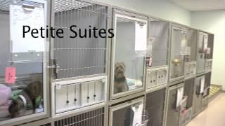 Bayside Pet Resort & Spa Virtual Tour