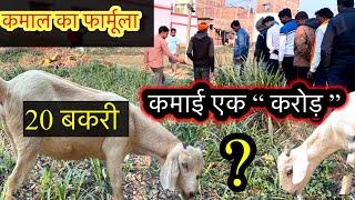 बकरी पालन की सच्चाई,किसान एक बार दिमाग जरुर लगायें | Goat farming business | bakri palan video