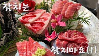 [은지vlog] 우연히 들어갔는데 참치맛집(!) | 참치는 참지마요 | 시흥동참치, 금천구참치