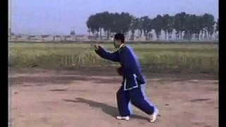 Four Grips Song Xingyiquan