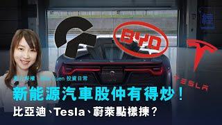 新能源汽車股仲有得炒！比亞迪、Tesla、蔚來點樣揀？｜贛鋒鋰業｜五菱汽車 ｜長城汽車｜【投理滿門】