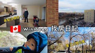 溫尼伯Winnipeg 找房日記|看了三間公寓|差點沒房住|Winnipeg Vlog 6