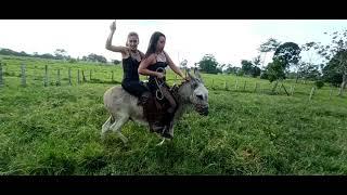 Donkey Riding | Esel Reiten 