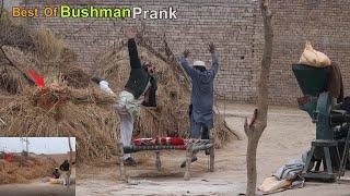 Shocking and Hilarious: SCARE BUSHMAN Prank  in Village |Fails Reactions of Busman 2024