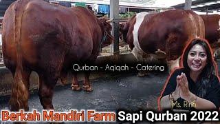 Sapi Qurban 2022 || Puluhan Sapi Jumbo 1 Ton Up, BERKAH MANDIRI FARM Jakarta Selatan