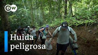 Colombia: la huida a través de la selva del Darién