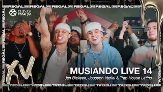 CASHE | Jan Blakeee & Jouseph Yadiel | MUSIANDO LIVE 14 (Video Oficial)