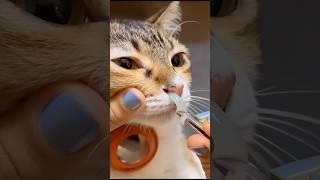 Molly’s nose cleaning #AI