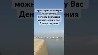 5 дней до и после ДР(в момент планирования еще раз уточните инфу)можно посетить бесплатно имениннику